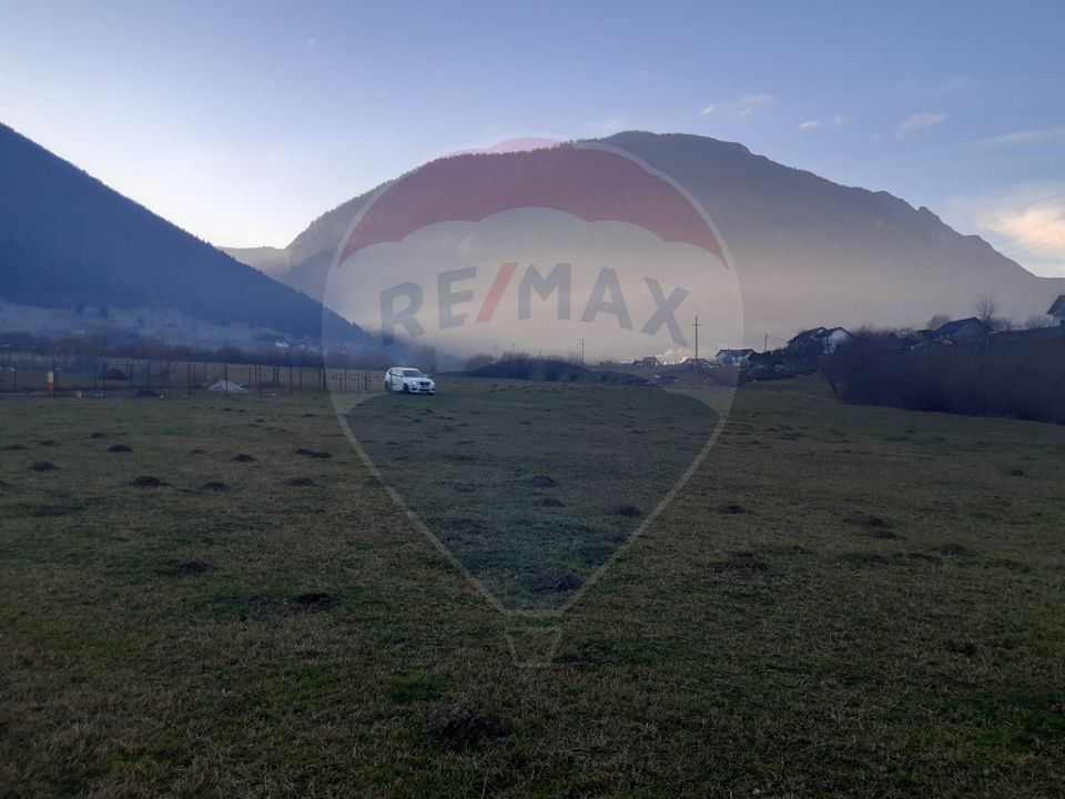 Teren 1,404mp Zarnesti / Strada FN