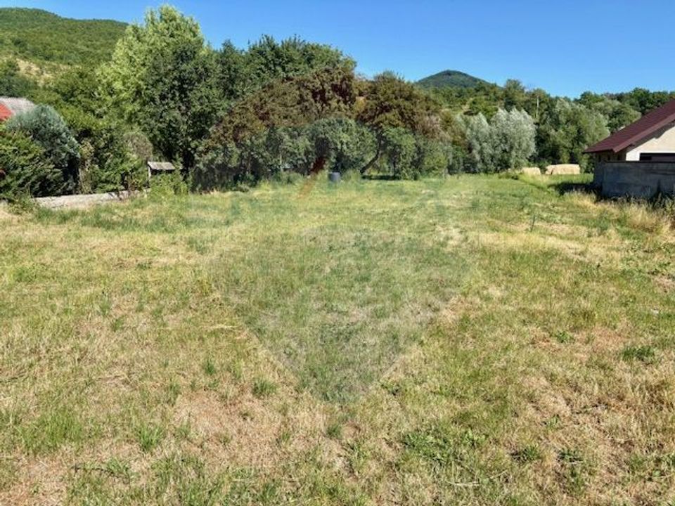 Land 3,154sqm Barsana / Intrarea principala