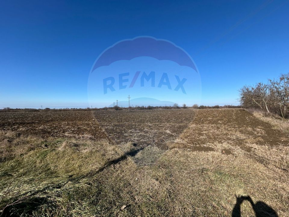 Land 11,502sqm Salonta / Strada Sarcadului