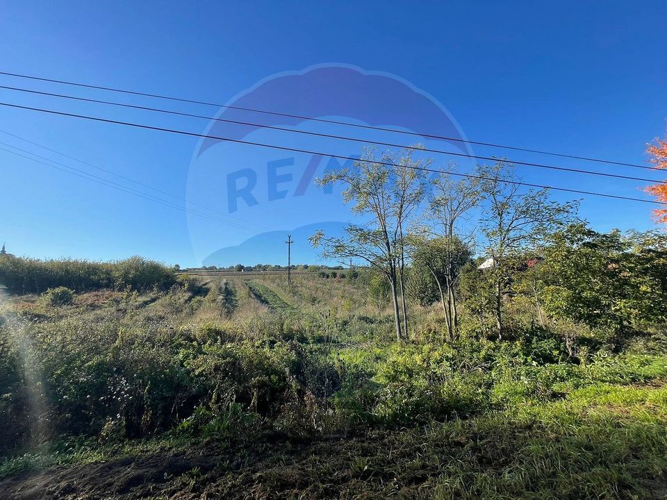 Teren 2.341 mp Uileacu de Munte front 26 ml la drum asfaltat