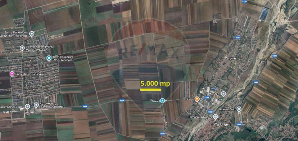 Teren Extravilan 5.000 mp Tarlungeni / Strada Zizinului