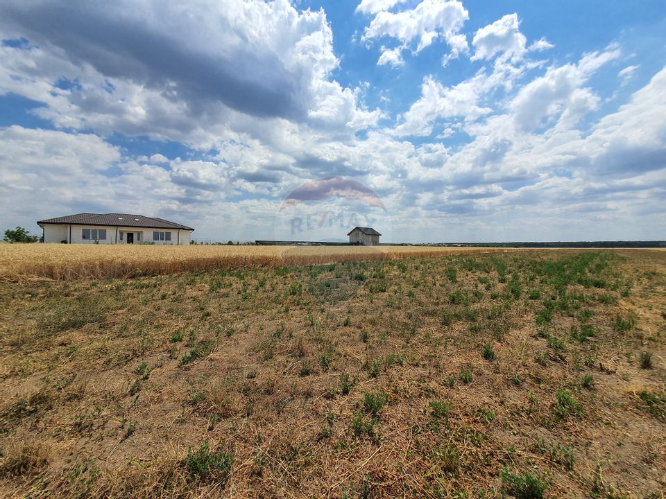 Teren constructii intravilan Buftea, zona in dezvoltare