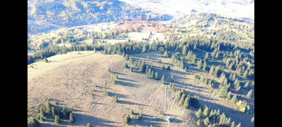 Teren 47,732mp Panaci / Strada MIhailet