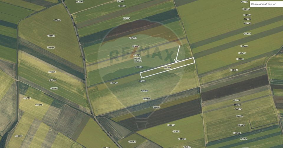 Land 9,750sqm Halchiu / Drumul Principal