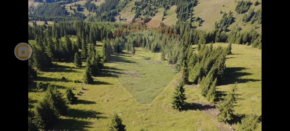 Teren 24,581mp Panaci / Strada Mihăileț