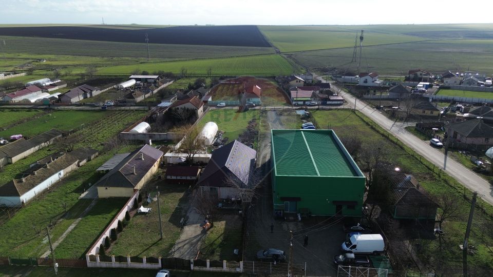 Hala industriala de vanzare in Poiana-Ovidiu