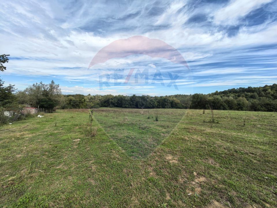 Teren 5,600mp Finteusu Mic / Strada Principala