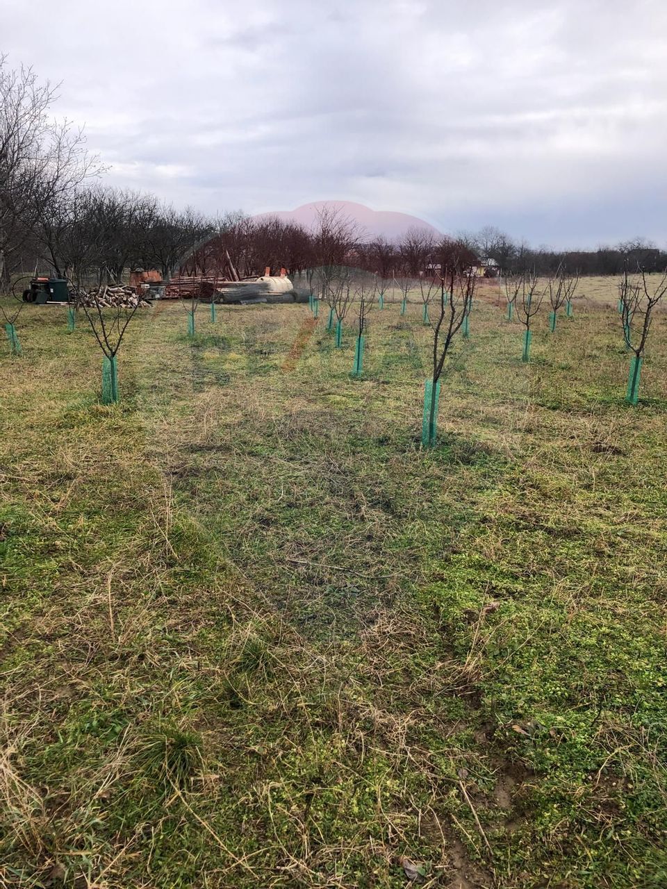 Land 6,000sqm Lugasu de Jos / Strada principala