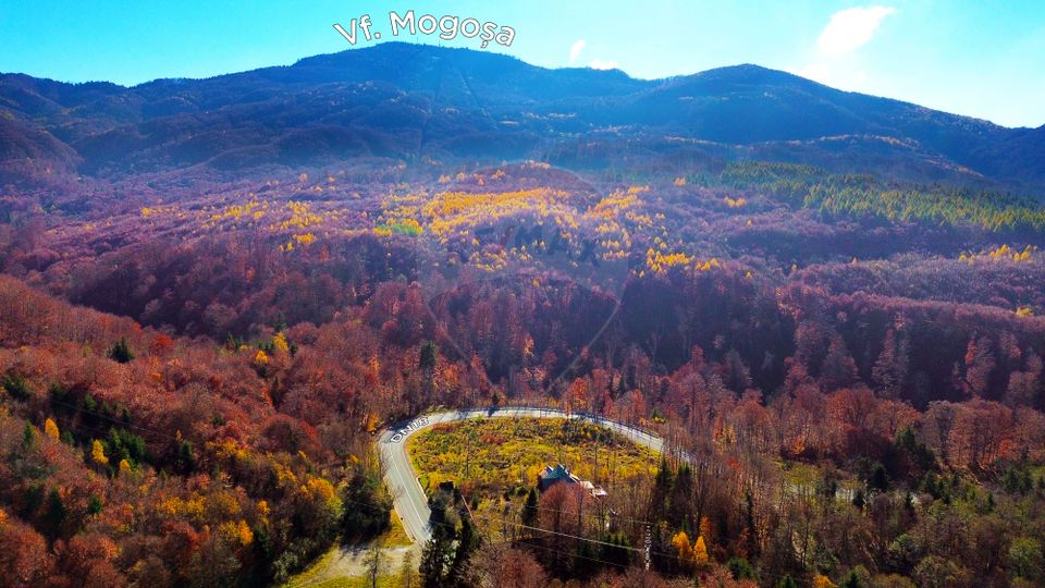 DE VANZARE Cabana-DN Baia Mare–Sighet cu 29AR