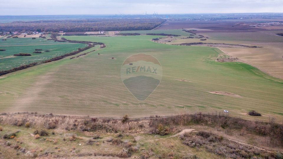 Land 310,000sqm Catunu (Berceni) / Intrarea tarla 17