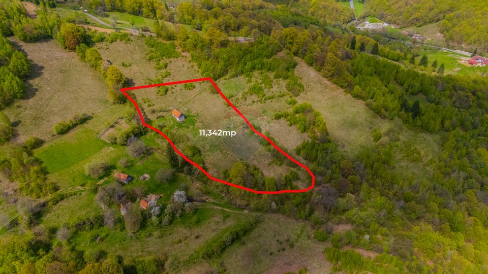Teren 11,342 mp Poiana Marului /Extravilan/Oportunitate investiție