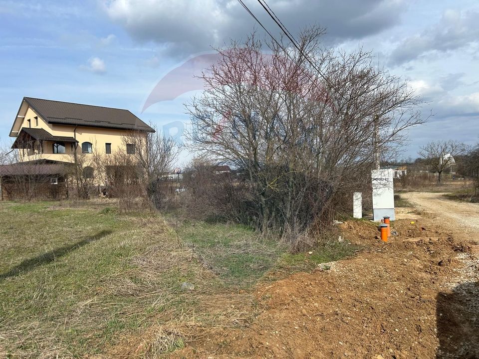 Land 700sqm Izvorani / Strada Gradinarilor