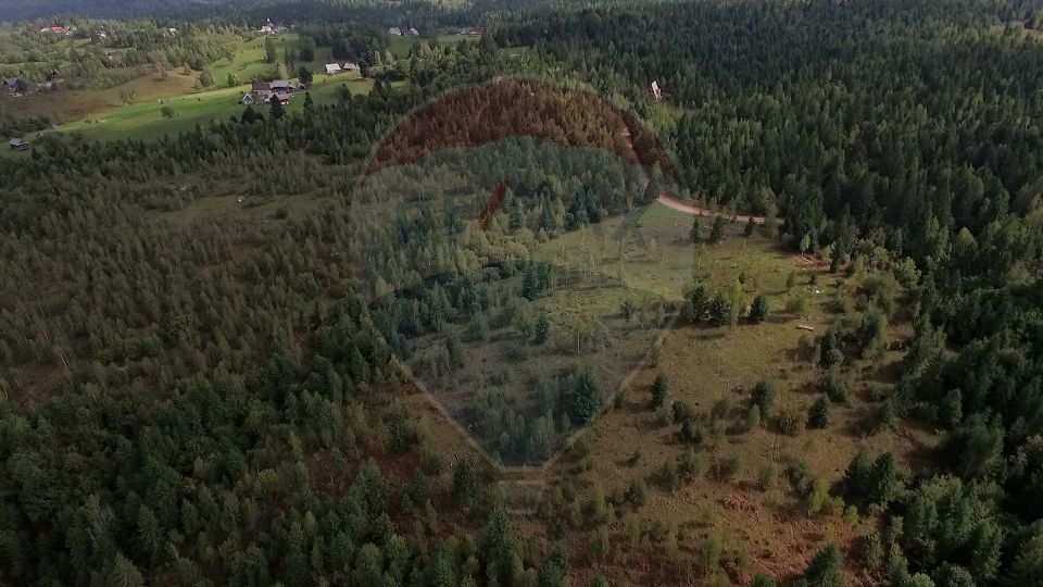 Teren extravilan parcelabil Călățele Pădure, zona Dealu Negru