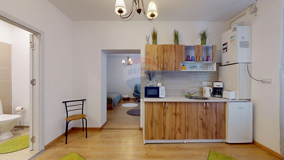 1 room Apartment for rent, Centrul Istoric area