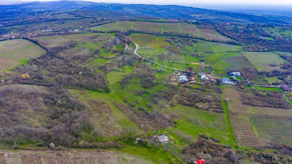 Teren 33.500 mp-Valea Orlei, Prahova/ COMISION 0%