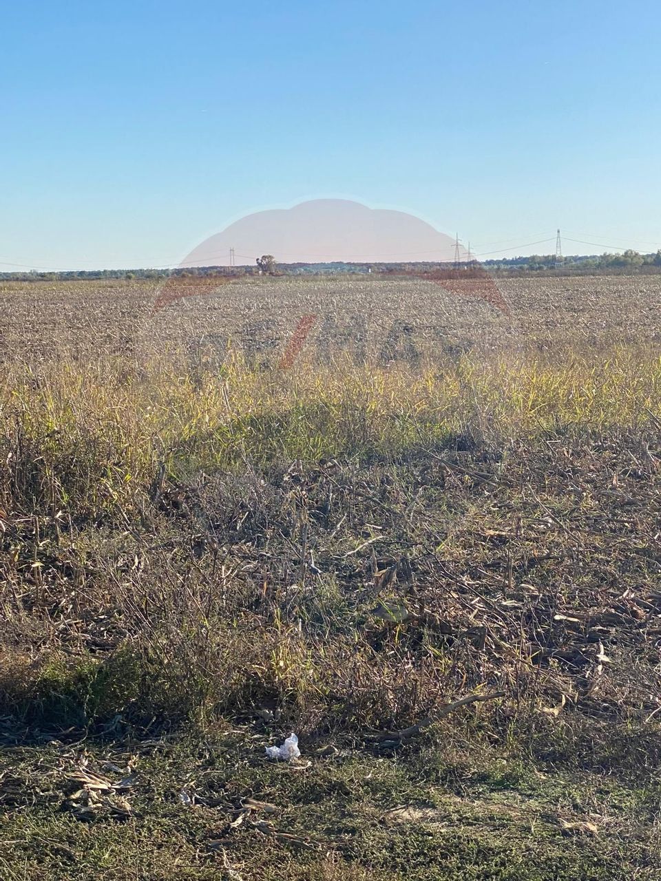 Teren intravilan constructii Stoenesti (Floresti-Stoenesti) / None