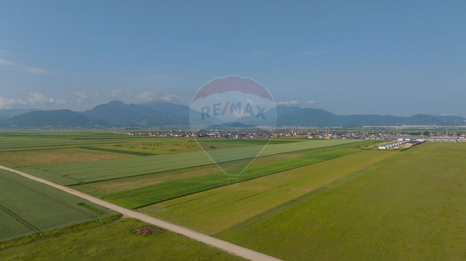 Teren 42,000mp Tarlungeni / Strada Izvor