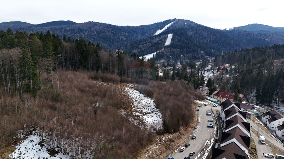 Land 1,000sqm Predeal / Strada Poiana Narciselor