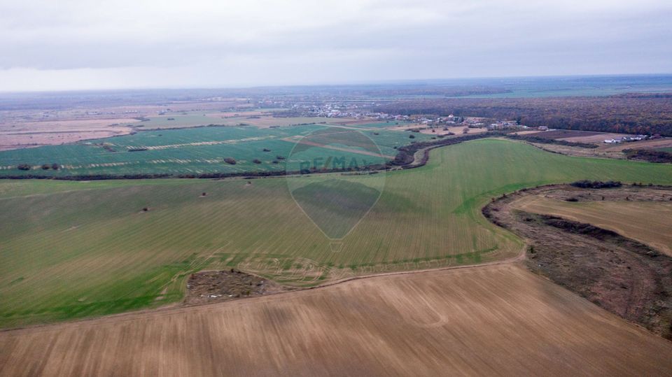 Land 310,000sqm Catunu (Berceni) / Intrarea tarla 17