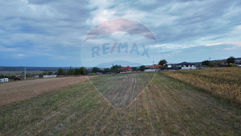 Land 10,000sqm Craiova / Strada Principala