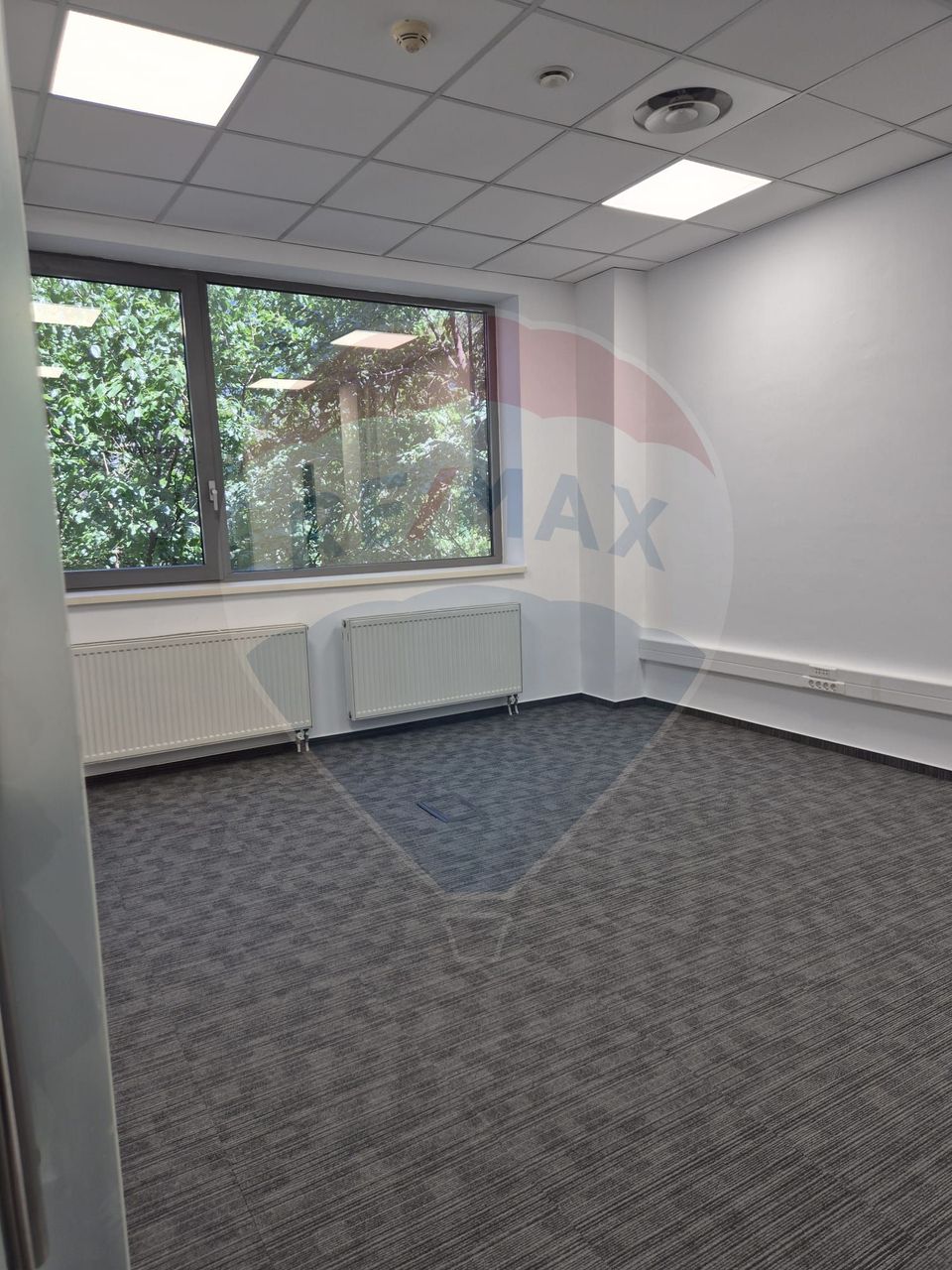 Office space Palace Hall - Cismigiu