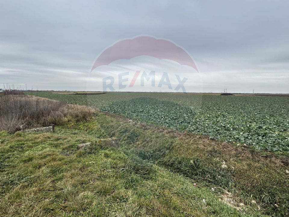 Teren intravilan 80500mp. aproape de nodul rutier de pe DX Oradea-Arad