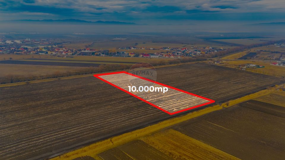 Teren 10,000mp Bod/Extravilan