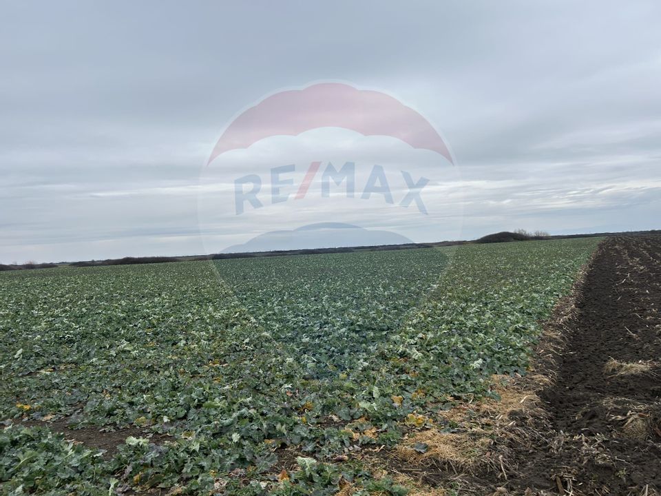 Teren intravilan 80500mp. aproape de nodul rutier de pe DX Oradea-Arad