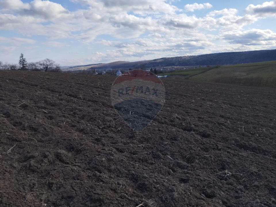 Teren Bodesti / Strada OSLOBENI LANGA MANASTIREA DUMBRAVELE