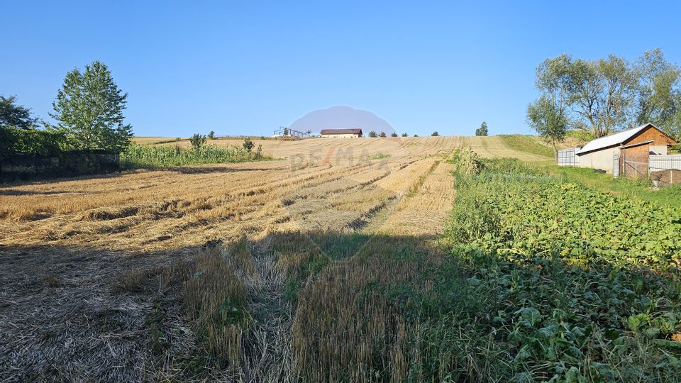 Teren intravilan, 7500 mp in Moara Carp / Strada Eternitatii-Suceava