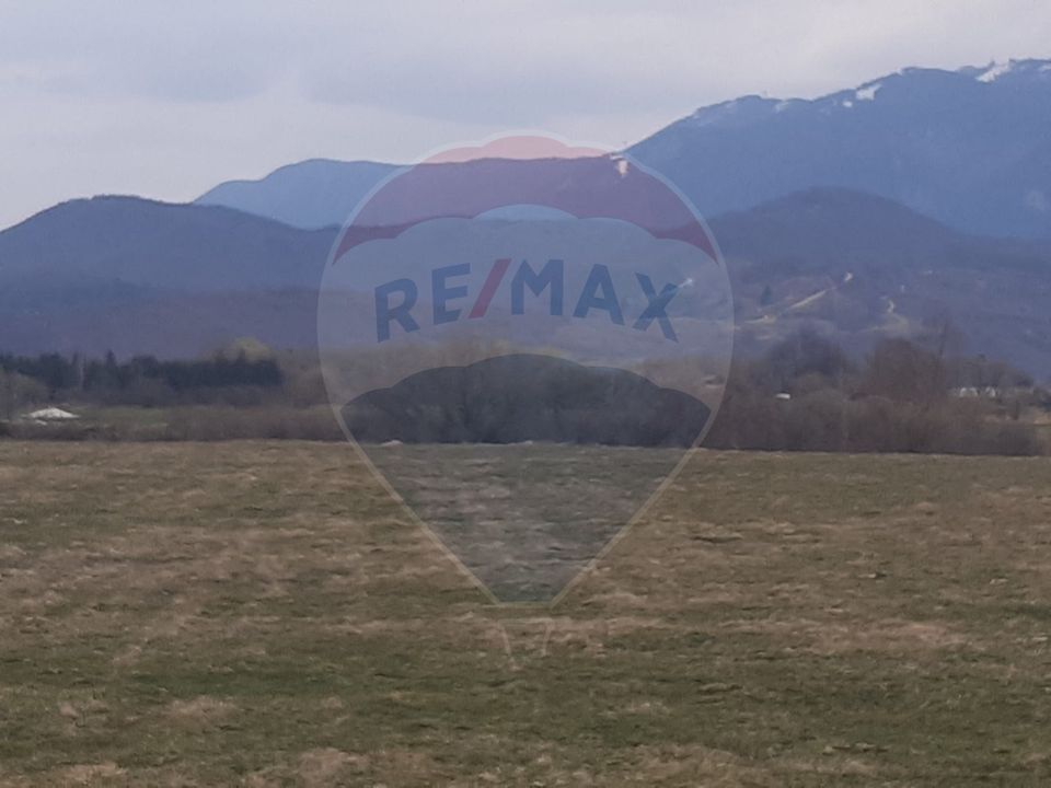 Teren 10,000mp Rasnov / Drumul Panicel