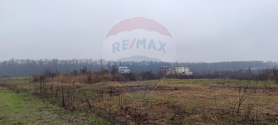 Land 500sqm Drumul Padurea Neagra