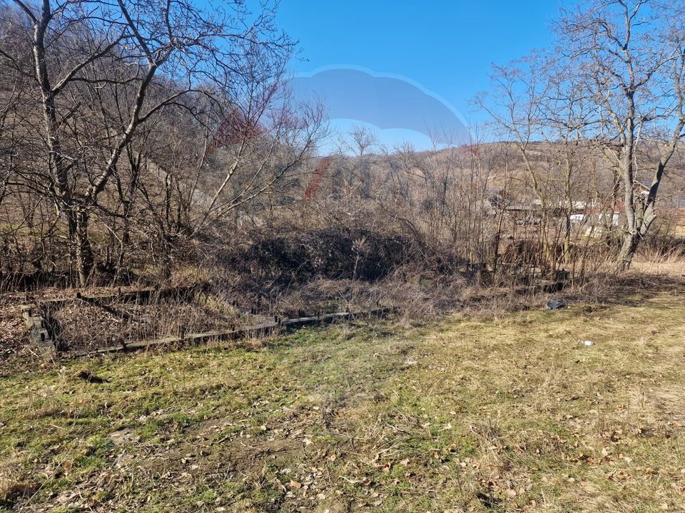 Land 4,985sqm Sascut / None