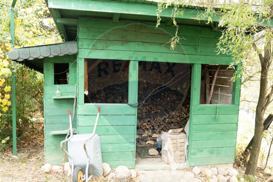 Casa + Teren cu Livada Curtea de Argeș