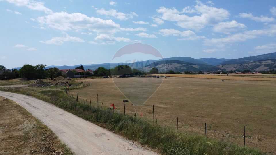 Teren industrial 5.000 mp Vintu de Jos – amplasament strategic