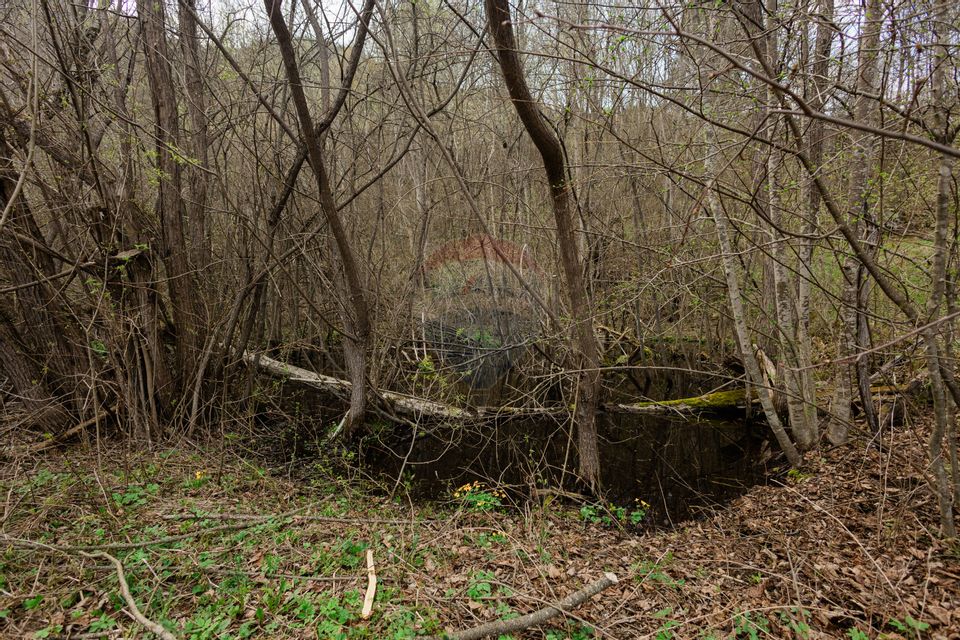 Proprietate unică în Tarcău – 30.283 mp intravilan, casă P+M