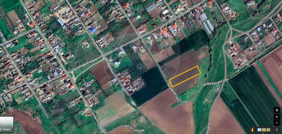 Construction land 5000 sqm in Plataresti / Calarasi