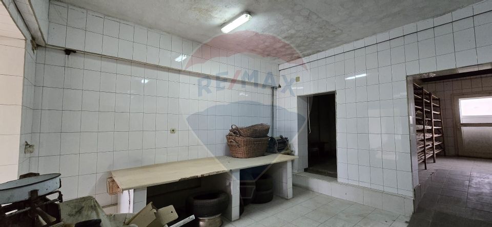 10 room House / Villa for sale