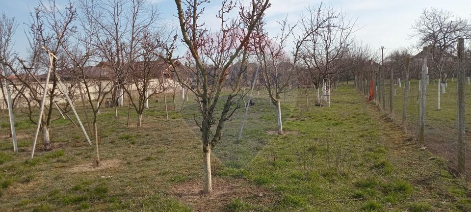 Land 2,954sqm Vladimirescu / Strada Stefan cel Mare