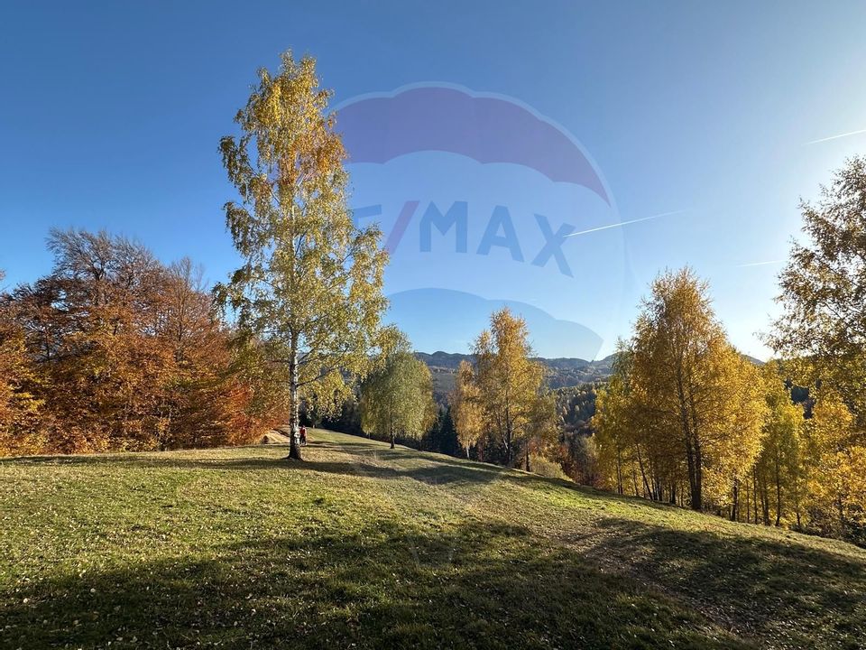 Investment opportunity ! Dream land in Pestera - 125,370 sqm