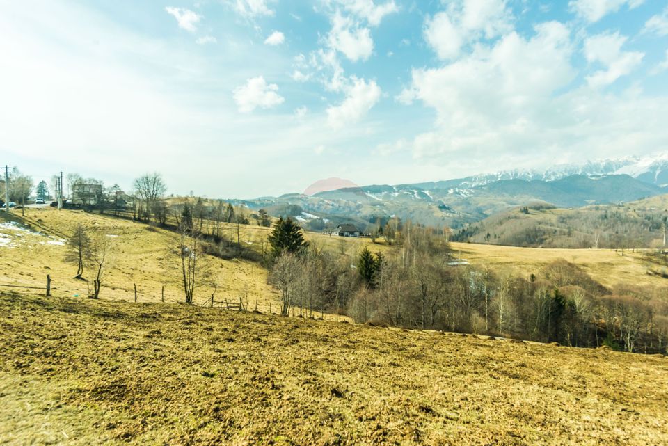 Comision 0%! Teren Moieciu de Jos 1500 mp