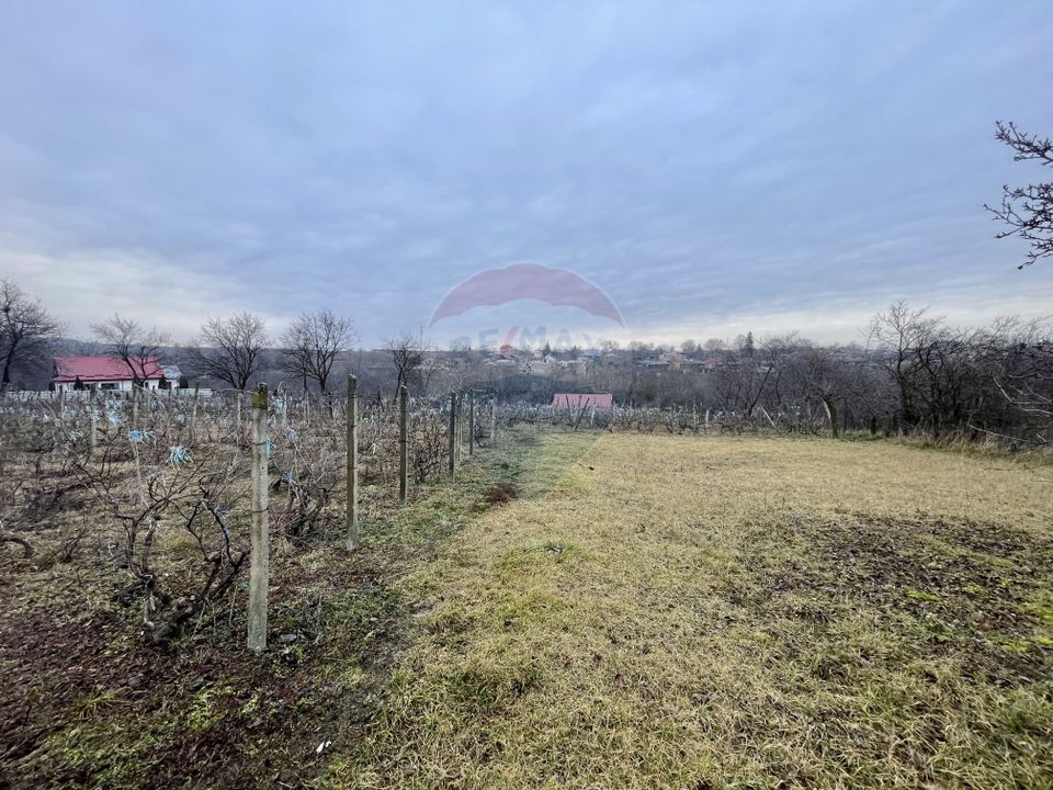 Casă cu teren  Neicu/Panciu