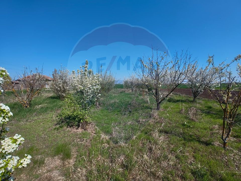 3 room House / Villa for sale