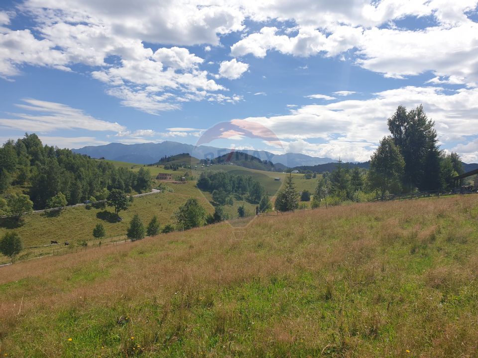 Teren intravilan, 12704 mp, Sat Ciocanu (com Dâmbovicioara)