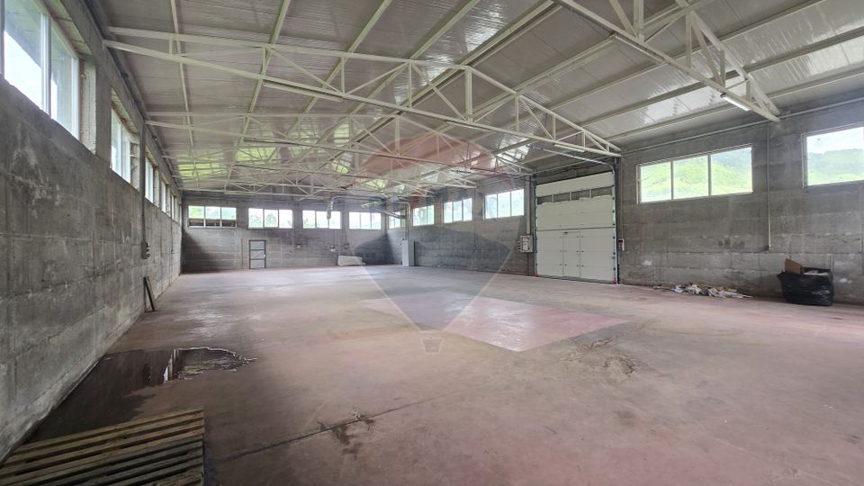Hala de productie 540mp de închiriat în Borsa pe DN 18 spre Complex