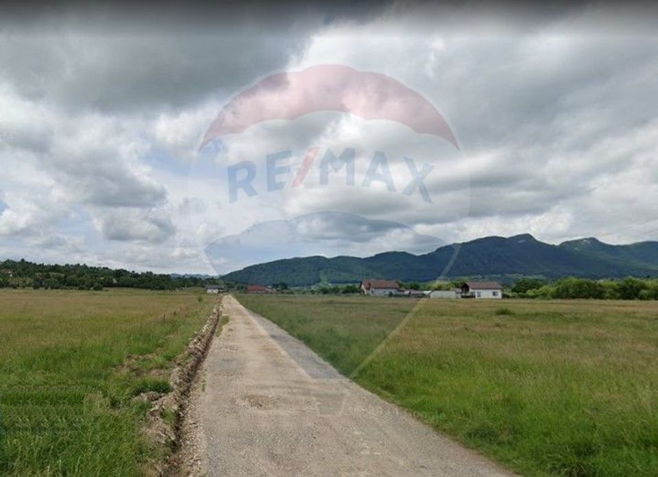 Teren Tohanu Nou, intrare Sohodol, 4800mp