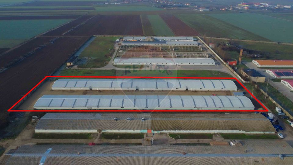 De vânzare – 2 hale industriale, 5.050 mp utili, Palota