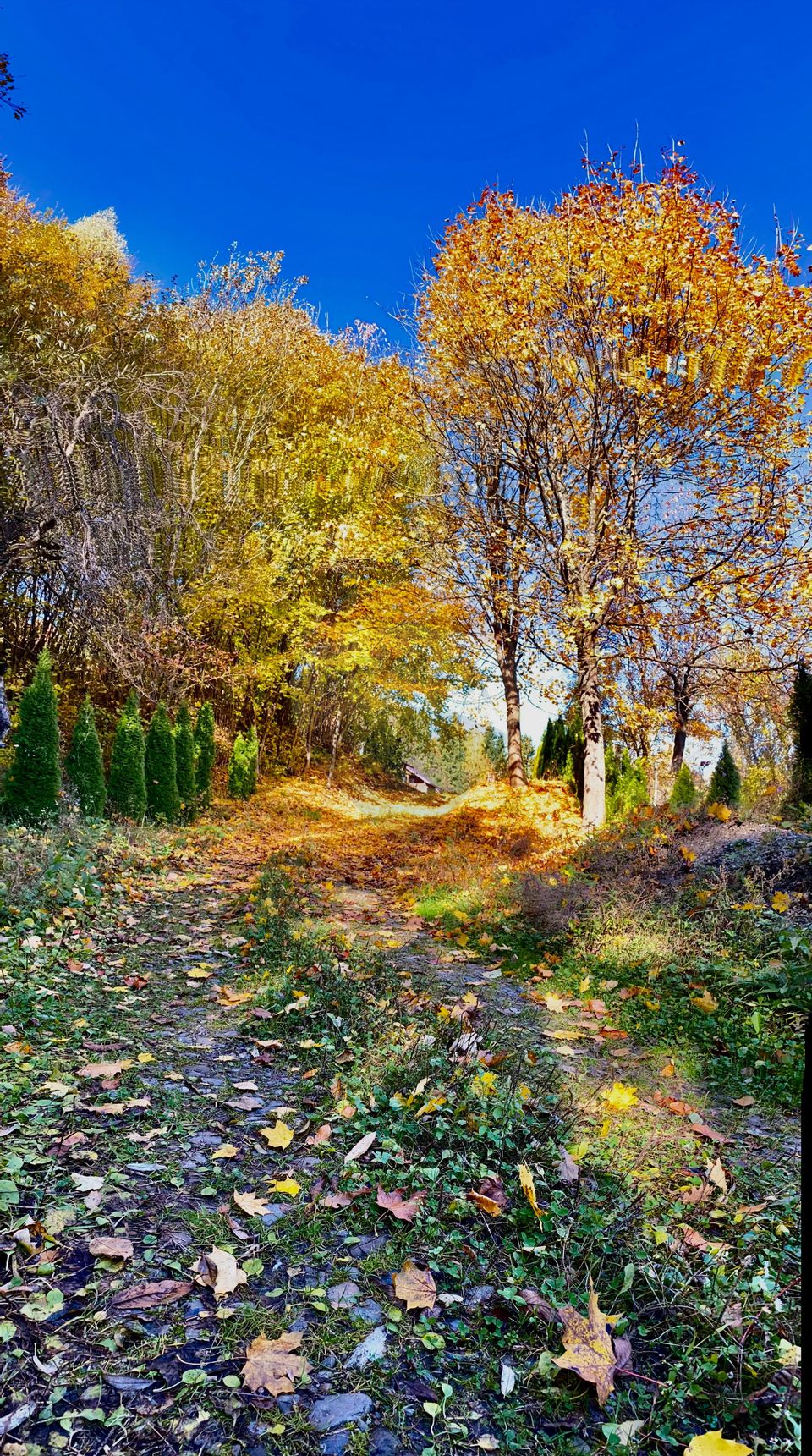 6 room Hotel / Pension for sale