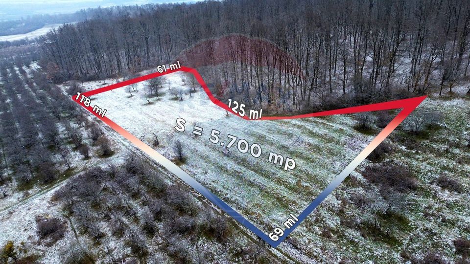 Teren 5,700mp Somcuta Mare / investitie cu potential major