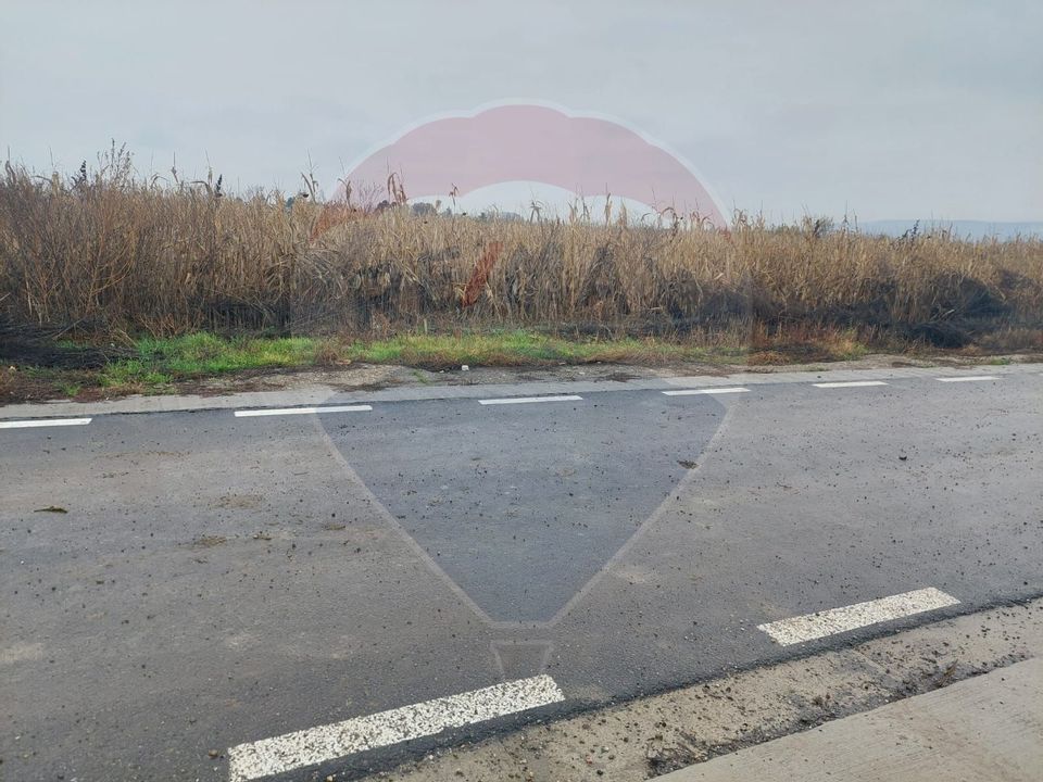 Teren intravilan de vanzare – Nicolae Balcescu, jud. Bacau